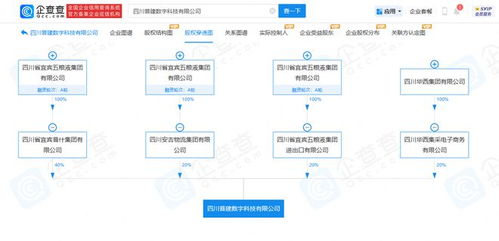 五糧液聯手華西集團成立2億元新公司，區塊鏈技術成核心經營范圍